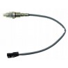 SONDA LAMBDA 226901841R 0258030336