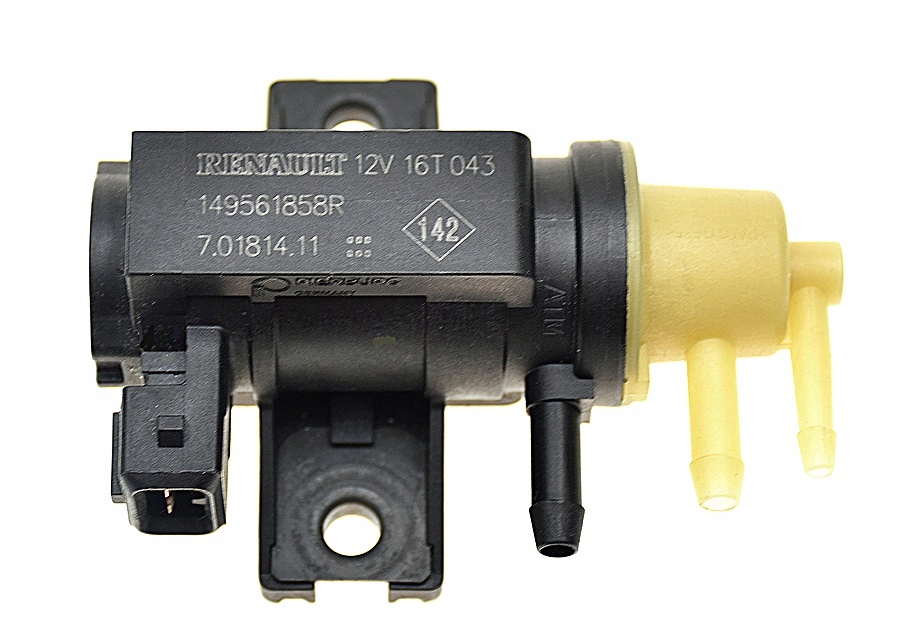 149561858R.jpg