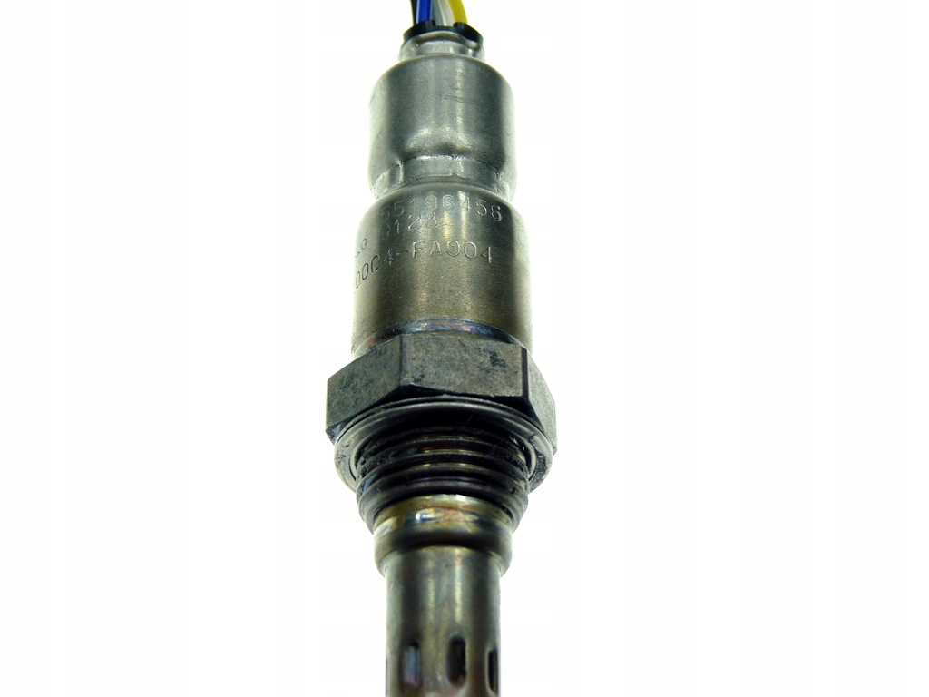 55196456_2.jpg