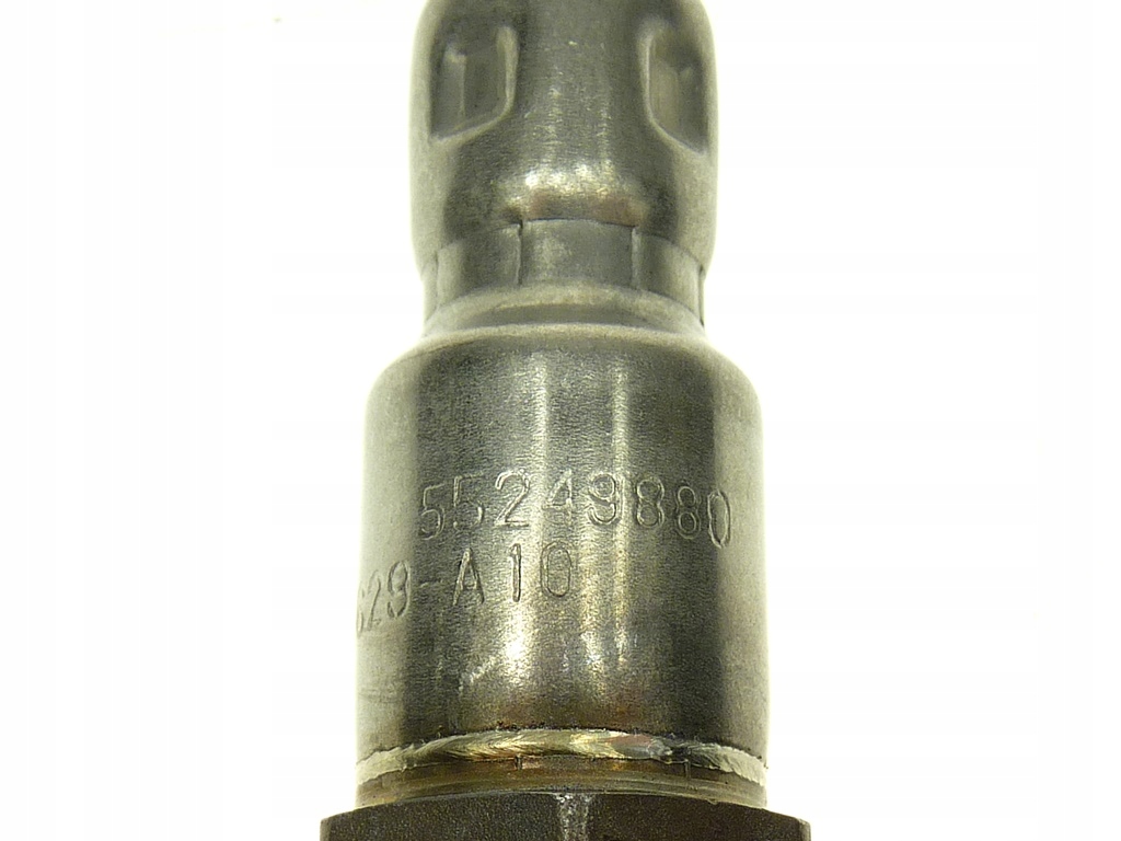 55249880_2.jpg