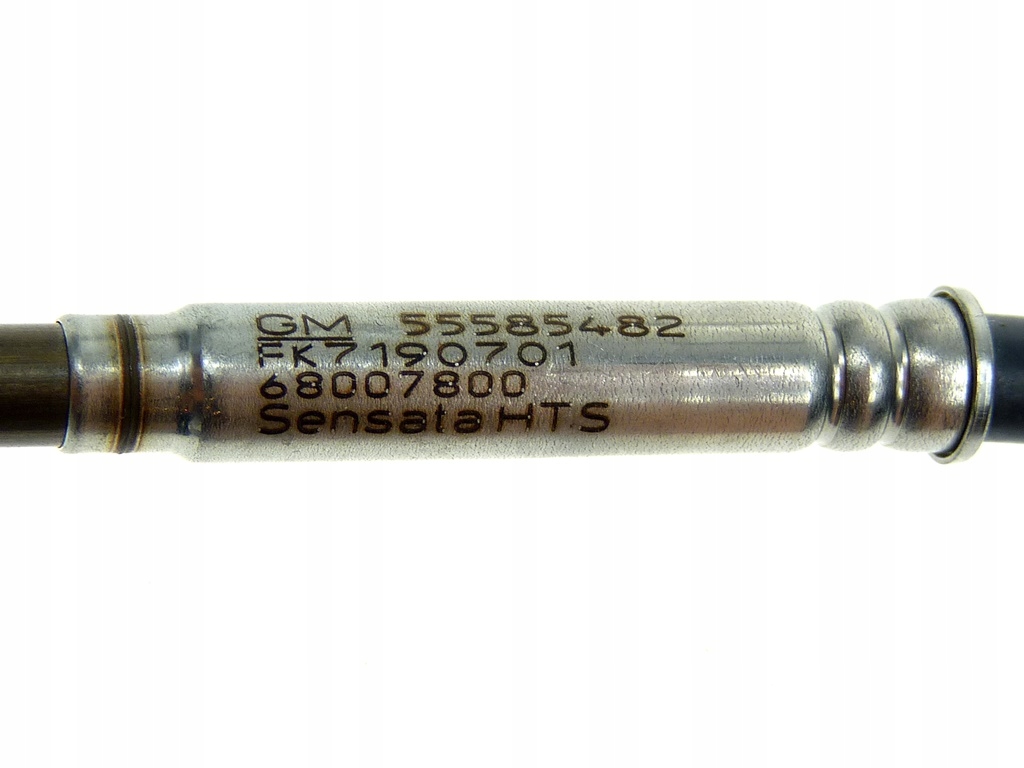 55494701_1247930_55585482_2.jpg
